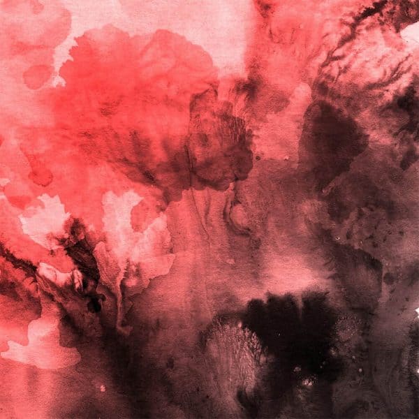 a painting of red and black flowers on a white background.