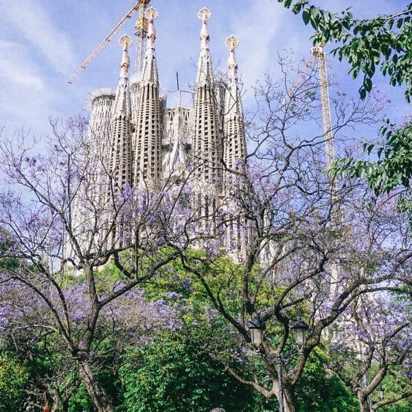 A towering edifice surrounded by lush foliage in the heart of Barcelona, Spain.