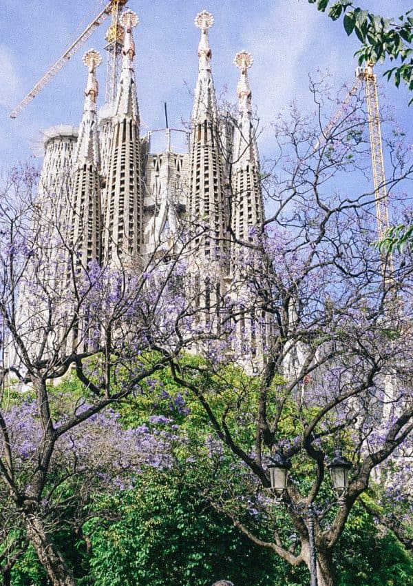 A towering edifice surrounded by lush foliage in the heart of Barcelona, Spain.