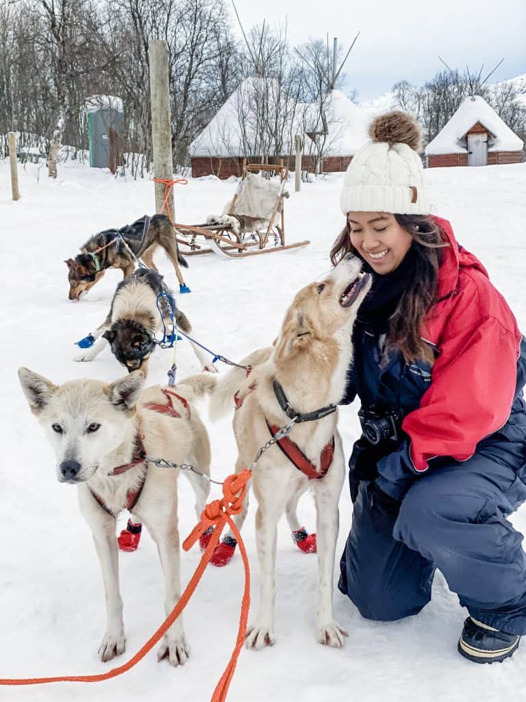 a woman kneeling down next to three dogs in the snow in Tromsø.