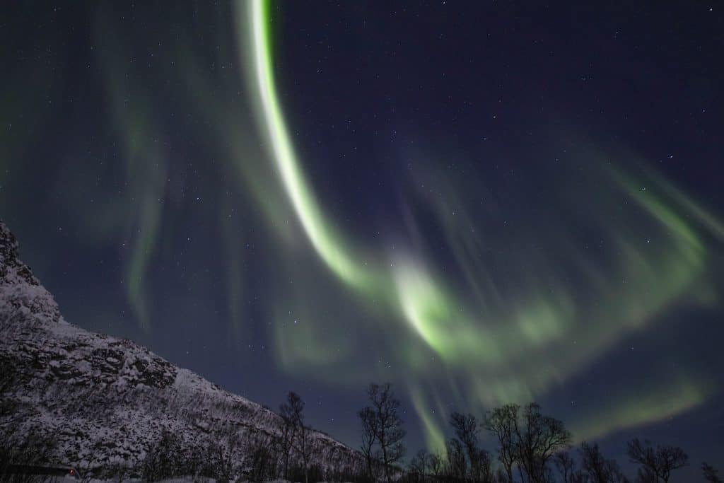 a green and white aurora bore in the night sky.