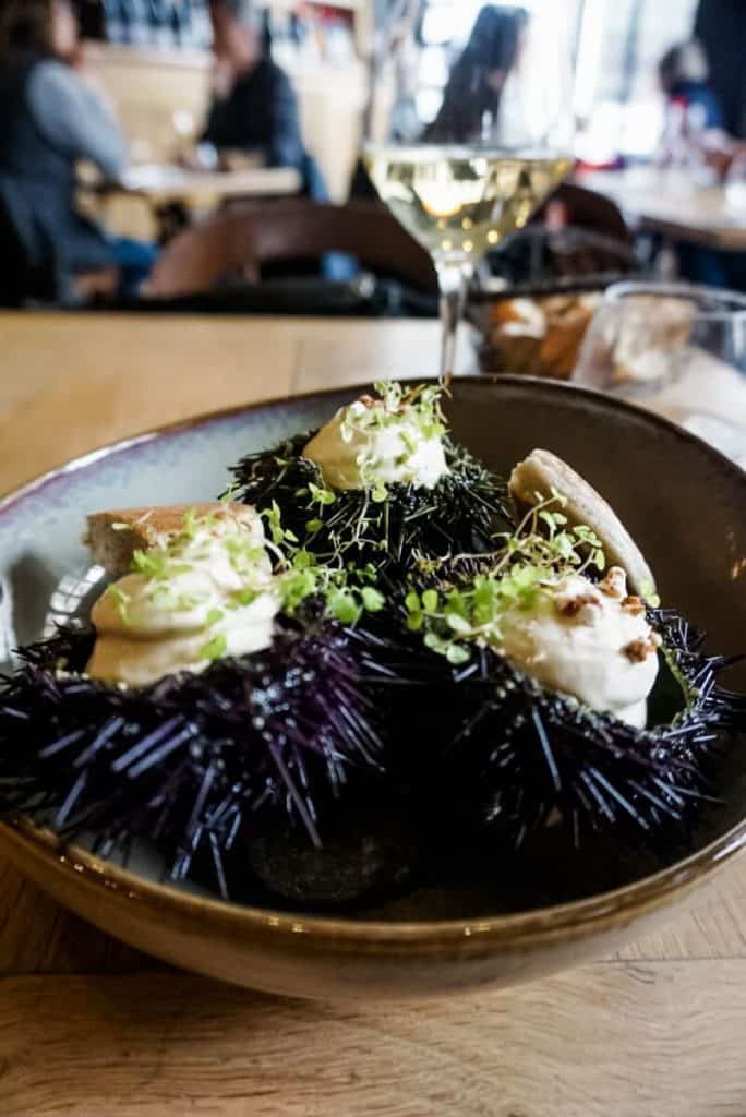 a plate of food and a glass of wine on a table.