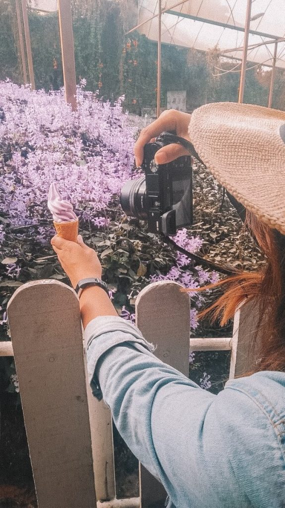 a woman taking a picture of a purple flower.
