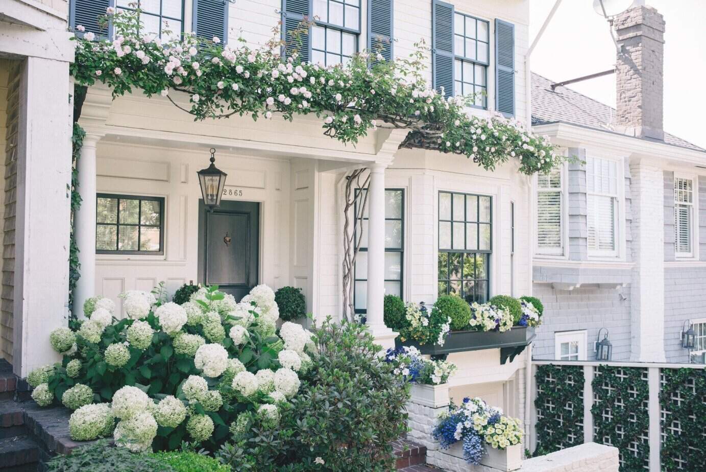 White house with black shutters, front porch, and lush landscaping including white hydrangeas and flowering vines.